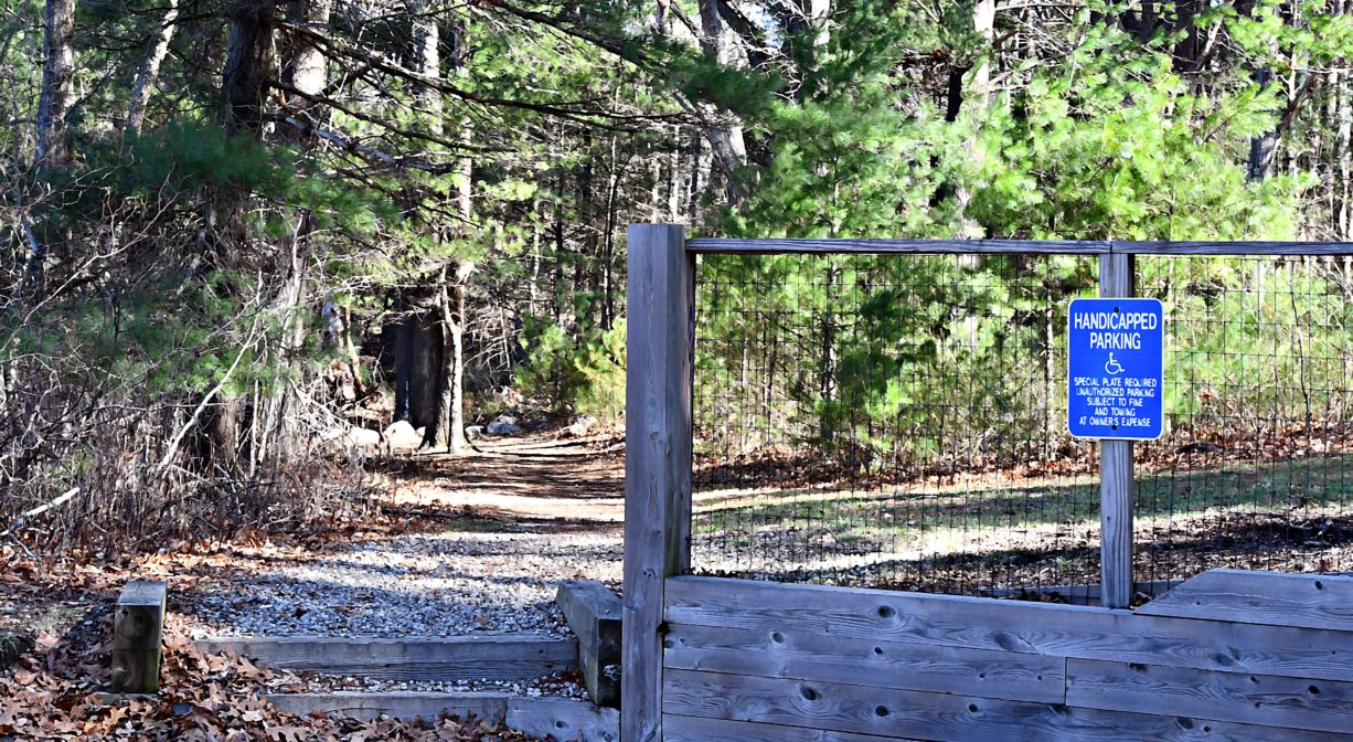 A photograph of a trail in a woodland.