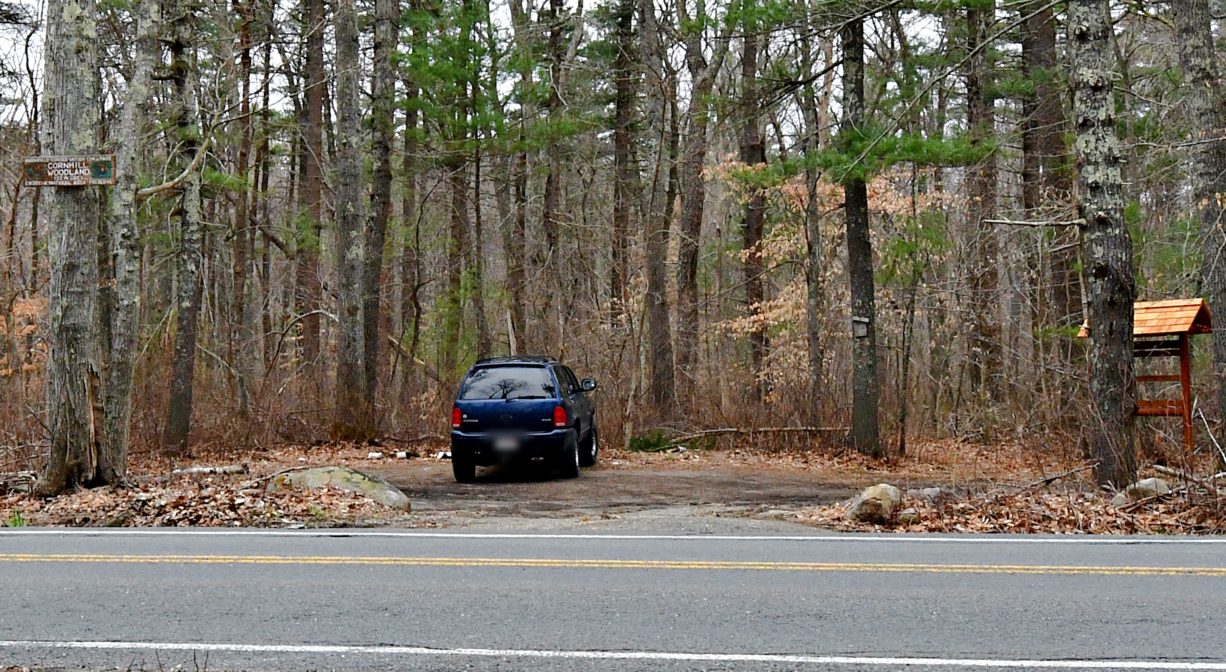 A photograph of a small parking area in a woodland next to a road.