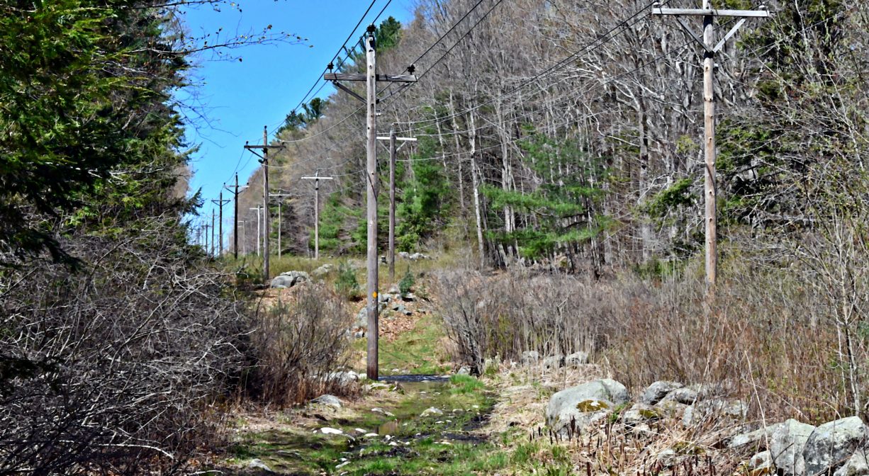 A photograph of a grassy trail leading to a power easement, with a stone wall to one side.