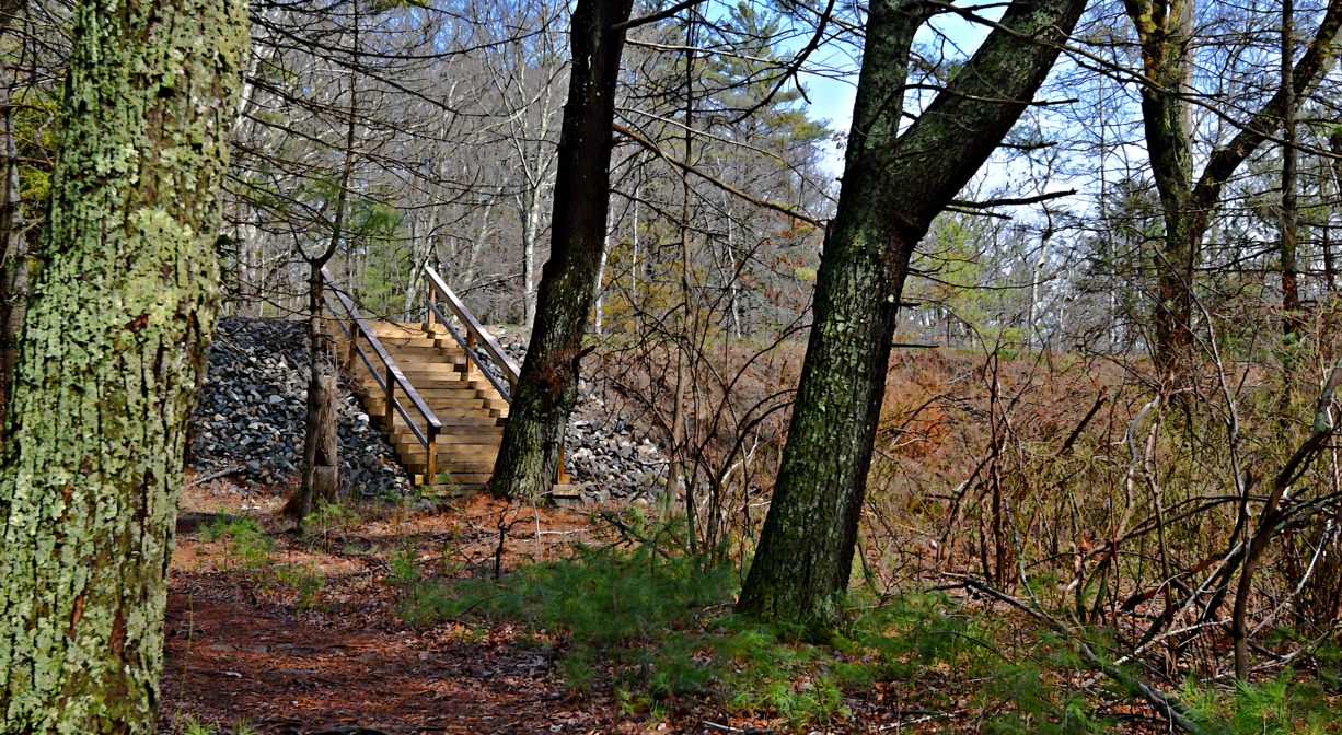 A photograph of a forest trail with a tall staircase at the end.