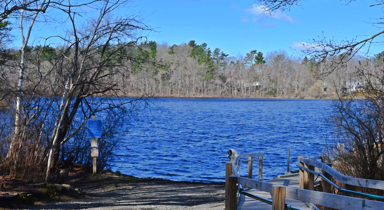 A photograph of a large pond bordered with trees.