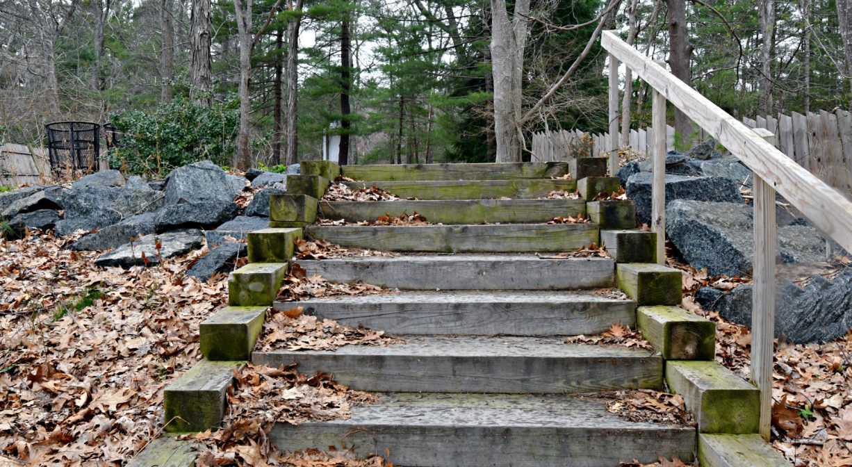 A photograph of awooden steps set into the side of a hill, with trees in the background and leaves on the ground.