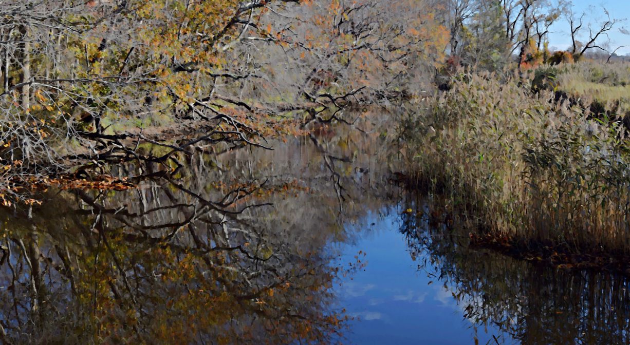 A photograph of a river with grasses and trees along its edges.