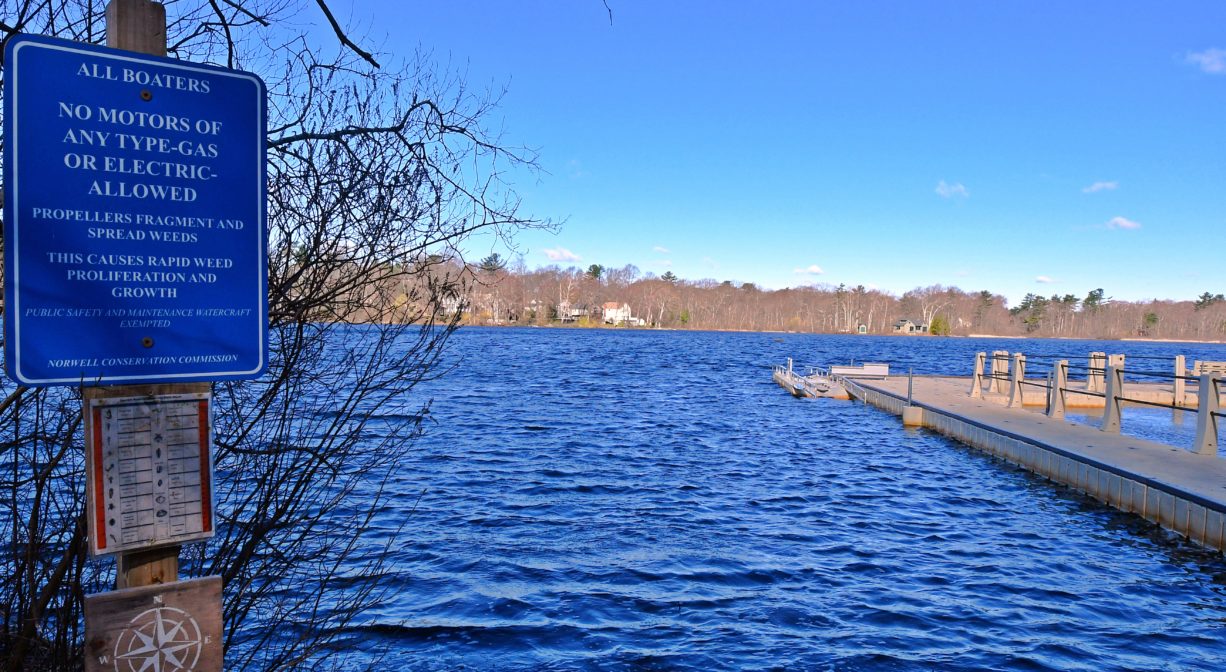 A photograph of a pond with a sign in the foreground and a pier to one side.