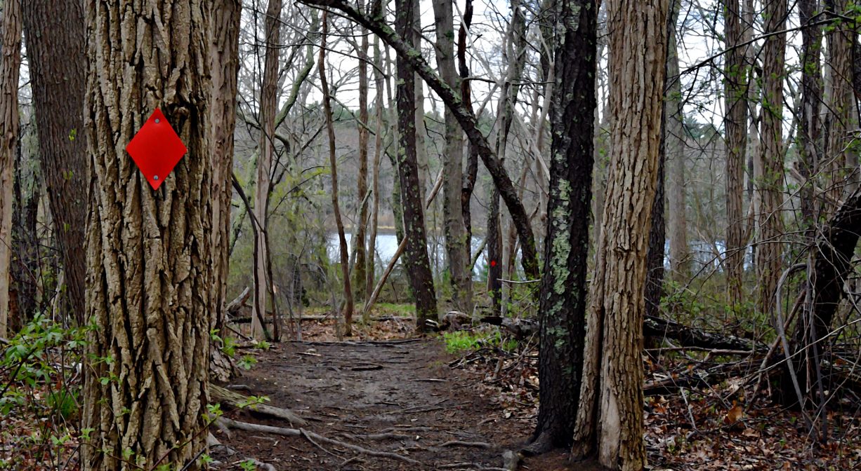 A photograph of a trail with a red blaze, with a pond in the distance.