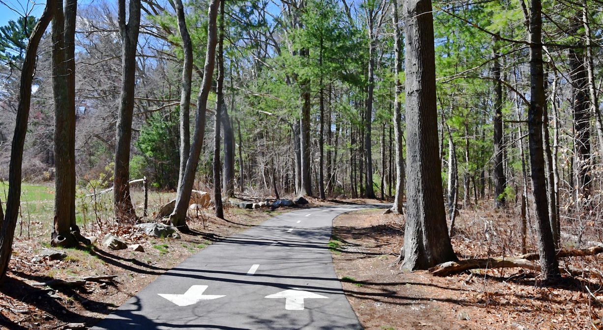 A photograph of a paved trail through a forested area, with painted arrows.
