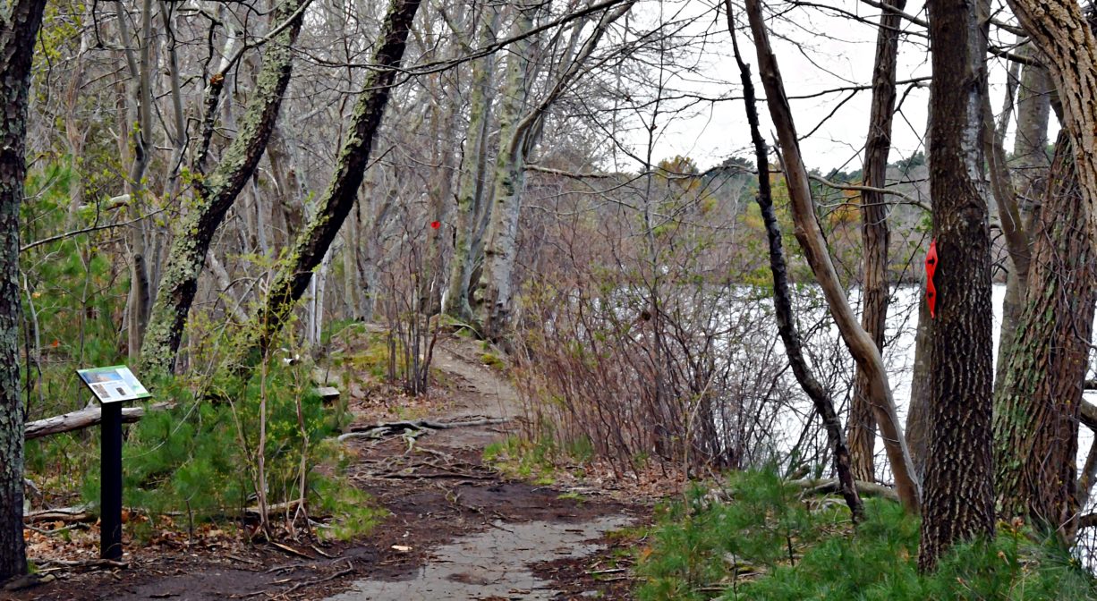 A photograph of a trail with signage, and a pond in the distance.