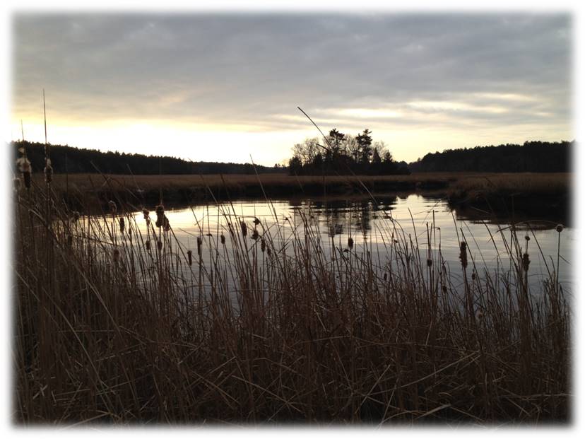 A photograph of a river and a marsh with an island in the background, at dusk.