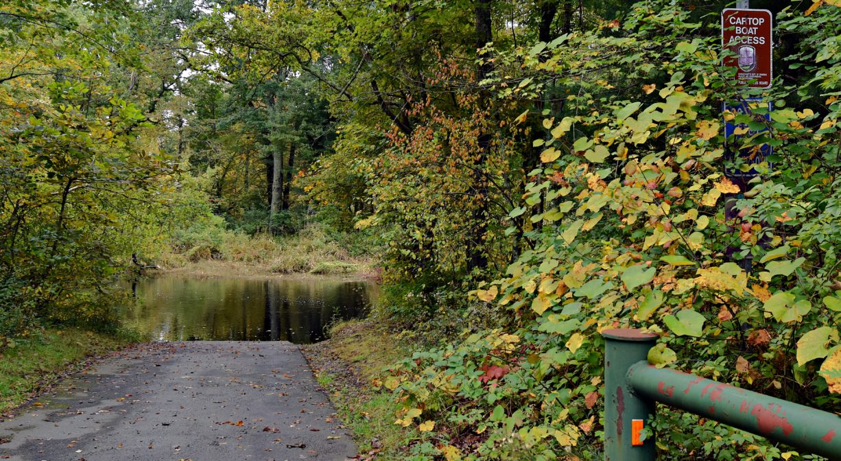 A photograph of a boat launch ramp with green foliage.