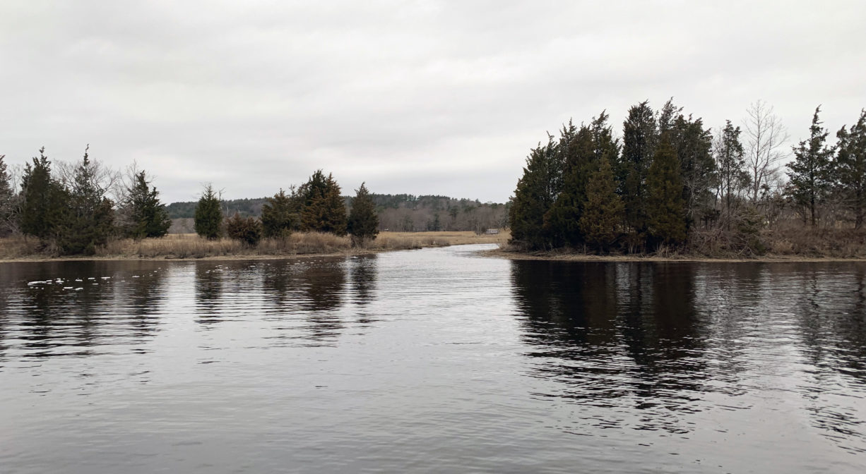 A photograph of a marsh creek with trees on both sides.