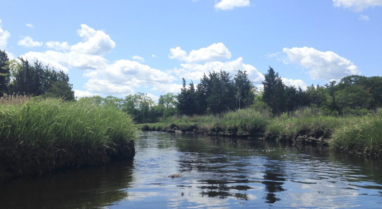A photograph of a marsh creek reflecting blue sky.