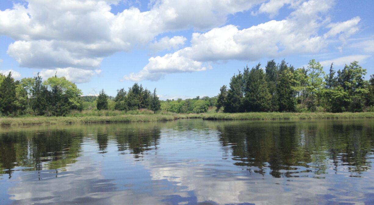 A photograph of a lagoon reflecting a cloudy blue sky, and surrounded with green trees and marsh.