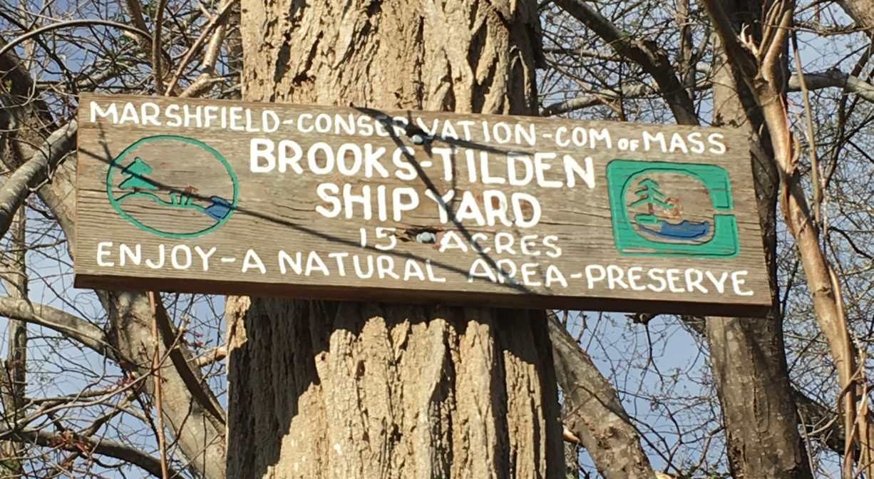 A photograph of a property sign on a tree.