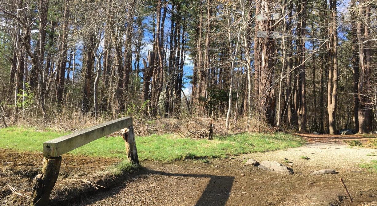 A photograph of a boat launch area on a river.