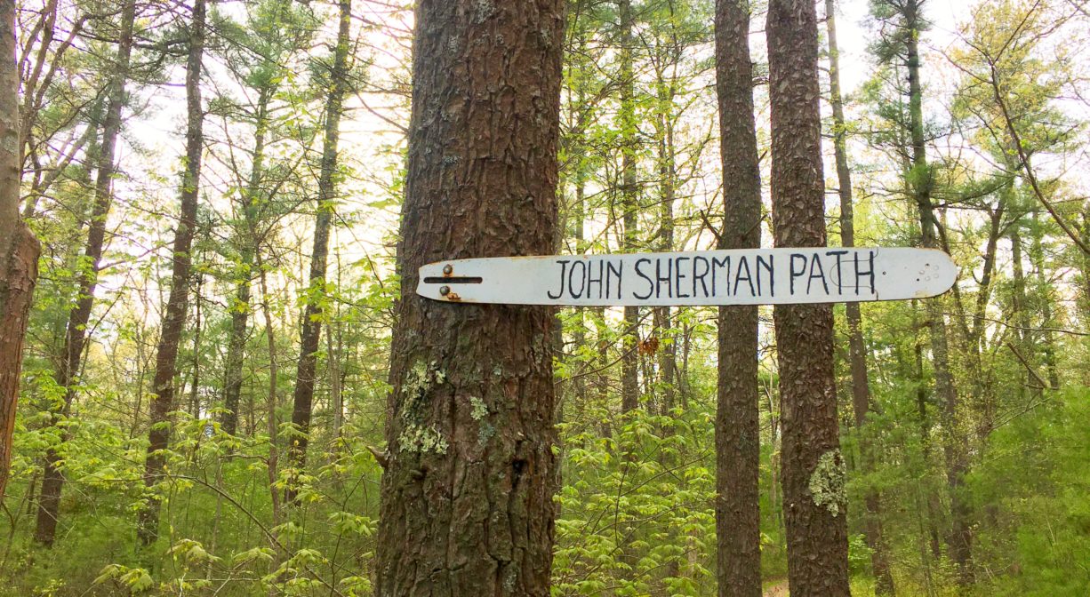 A photograph of a trail sign in a forest.