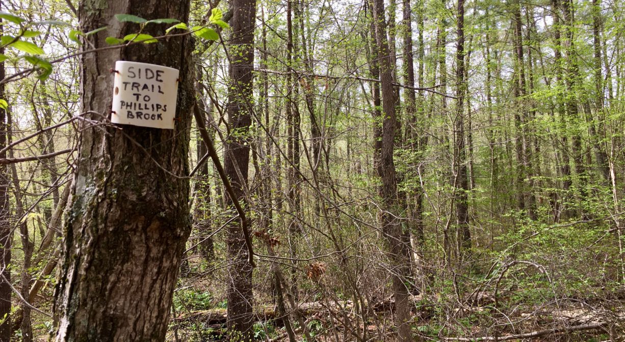 A photograph of a trail sign in a forest.