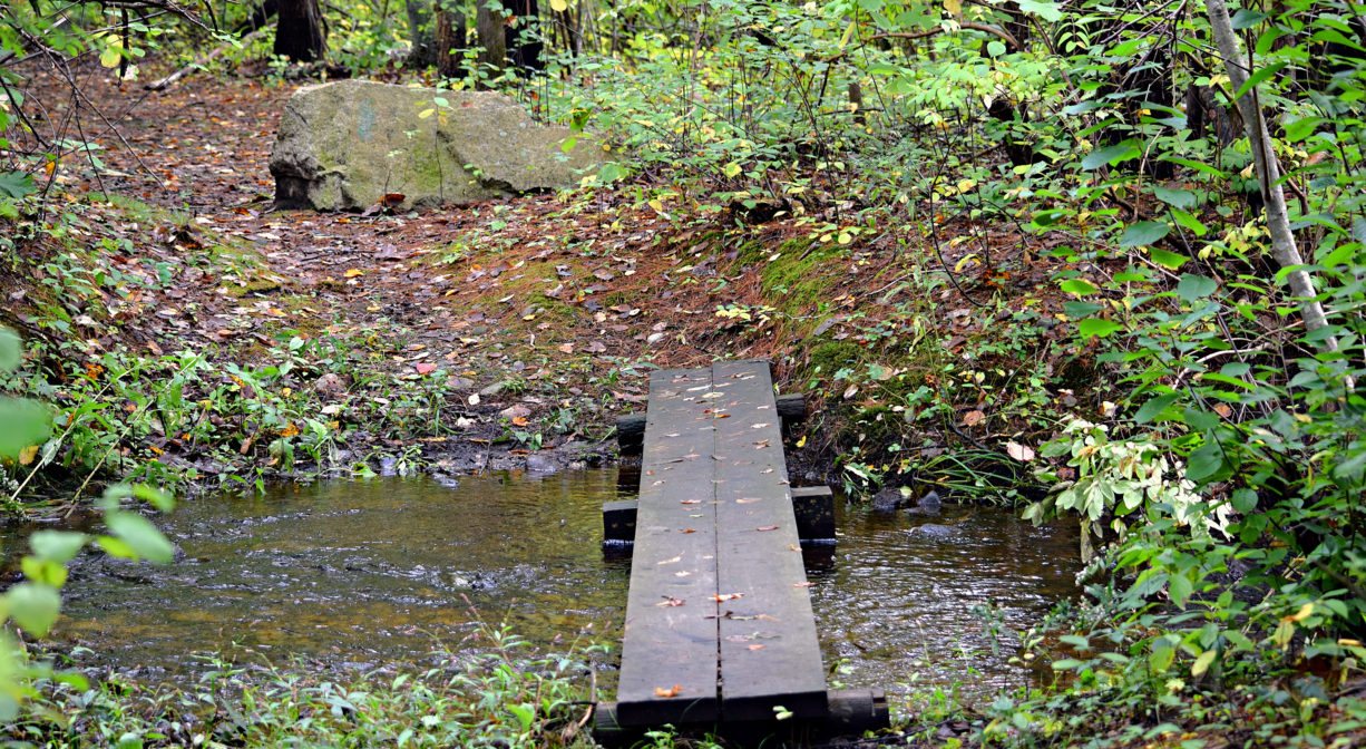 A photograph ofa plank boardwalk across a stream within a forest.