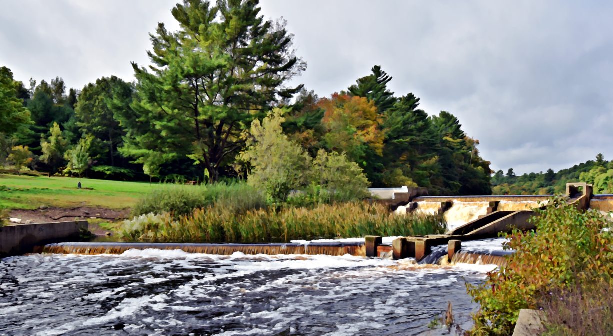 A photograph of a river and a fish ladder, set within a green park.