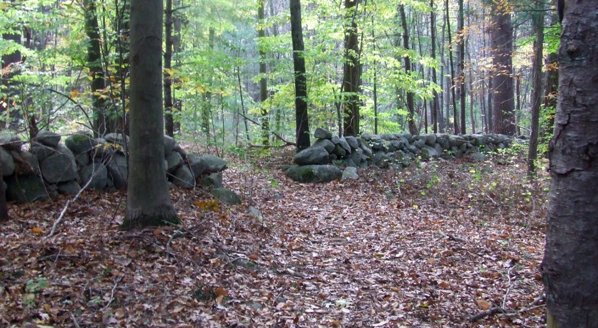 A photograph of a forest trail passing through an old stone wall.