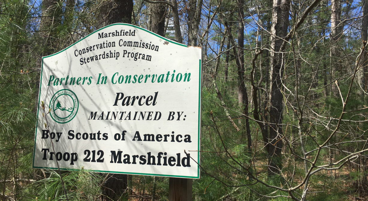 A property sign at the edge of the woods.