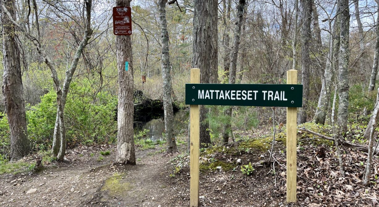 A photograph of a trail sign and a trailhead with bare trees and some green foliage.