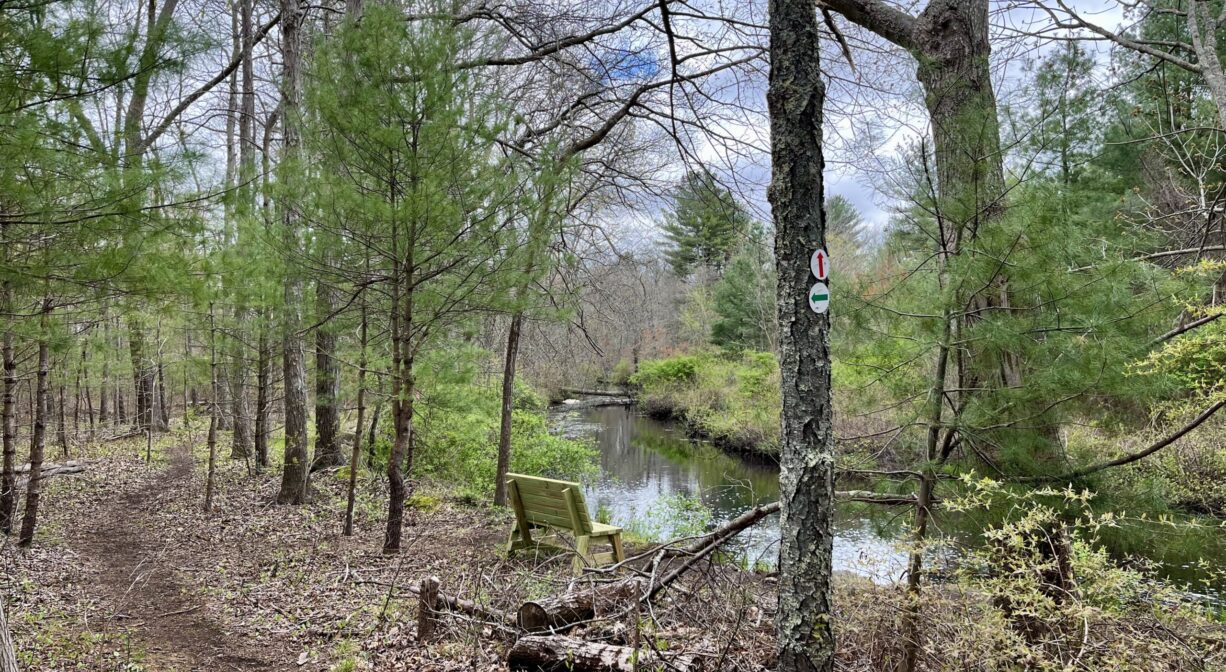 A photograph of a trail through the woods with a river to one side, a bench, and some green foliage.