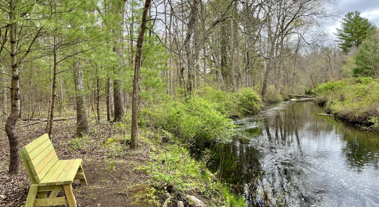 A photograph of a wooden bench overlooking a river with green foliage.