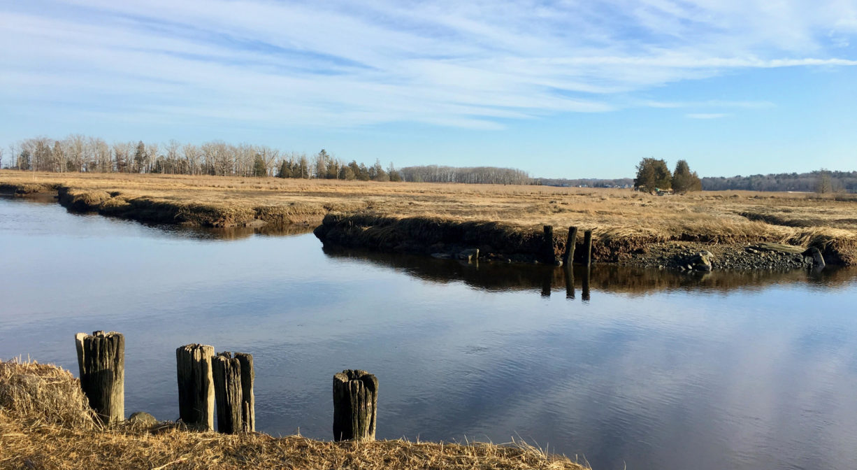 Photograph of a river and salt marsh with the sky and some streaky clouds reflected in the water.