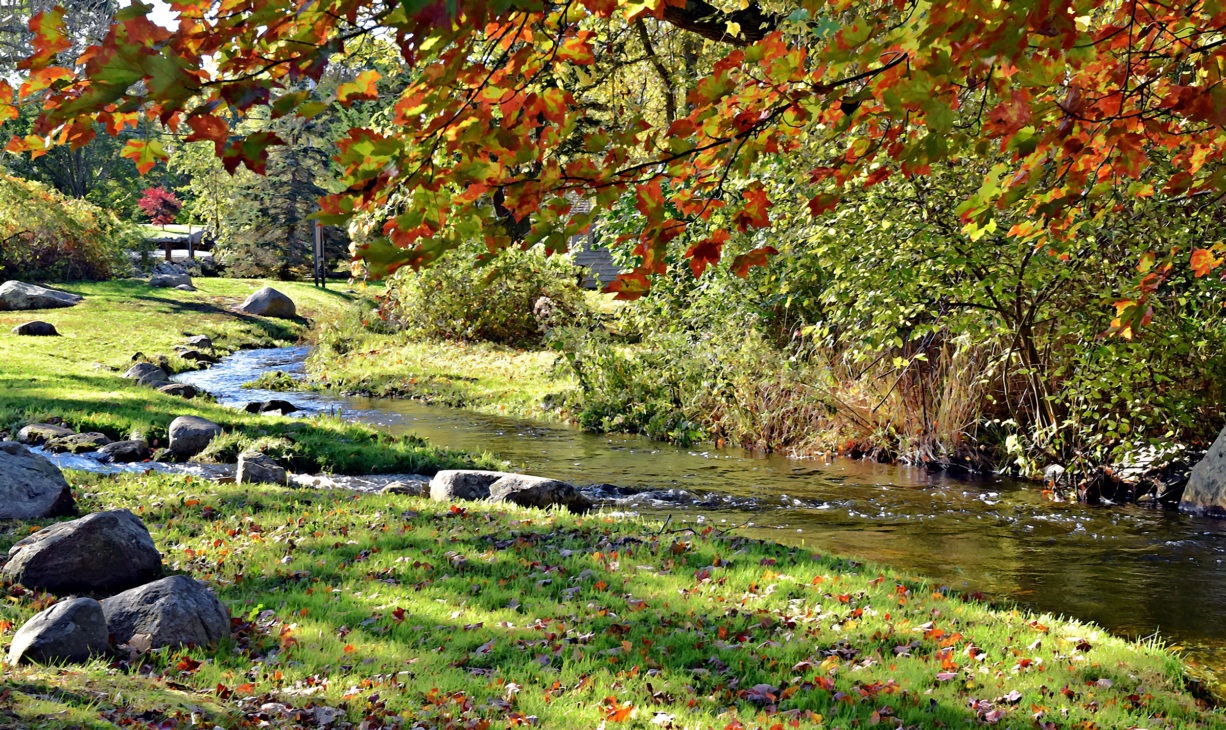Herring Run Park Pembroke North and South Rivers Watershed Association