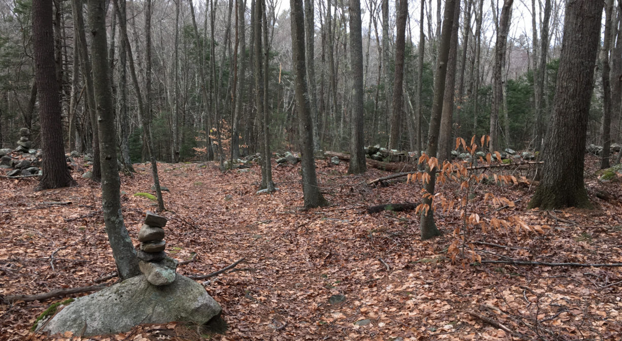 A photograph of a trail through a forest with a pile of stones to one side.