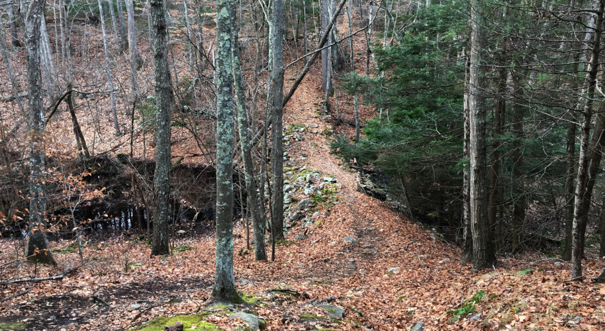 A photograph of a trail across an earthen dam, in a forest.