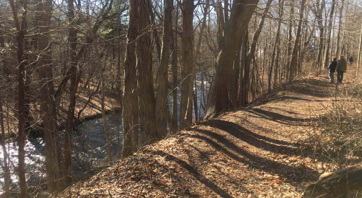 A photograph of a wide forest trail next to a river with pedestrians in the distance.