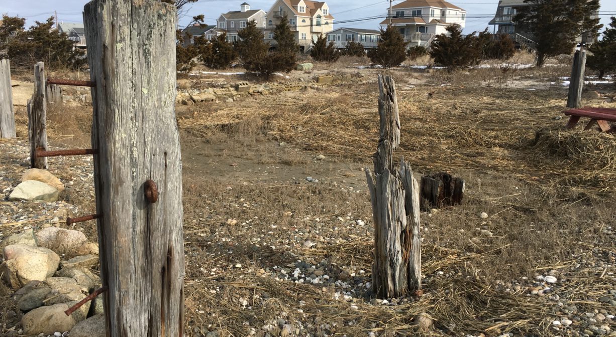 A close-up photograph depicting a row of cedar posts standing in beach sand and stones, with some houses in the background.