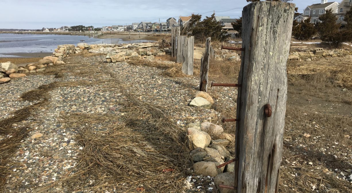 A photograph of a row of cedar posts standing in the sand and stones at the edge of a river, with some cedar trees in the background.