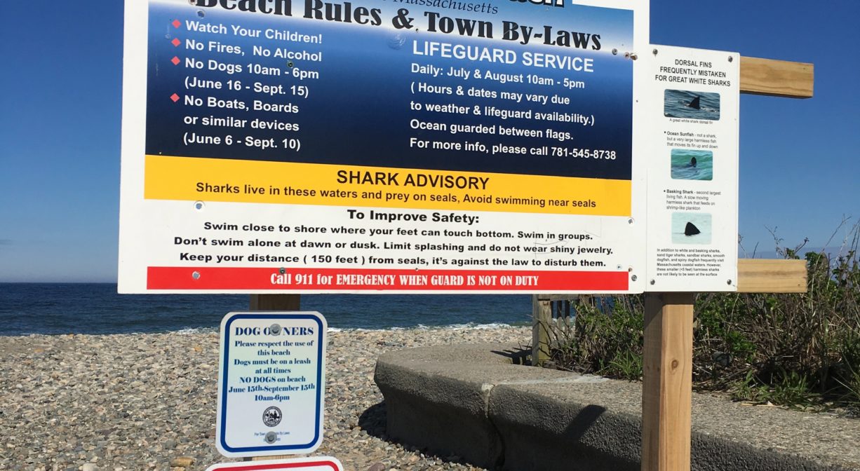 A photograph of a property sign with rules, situated at the edge of a beach.