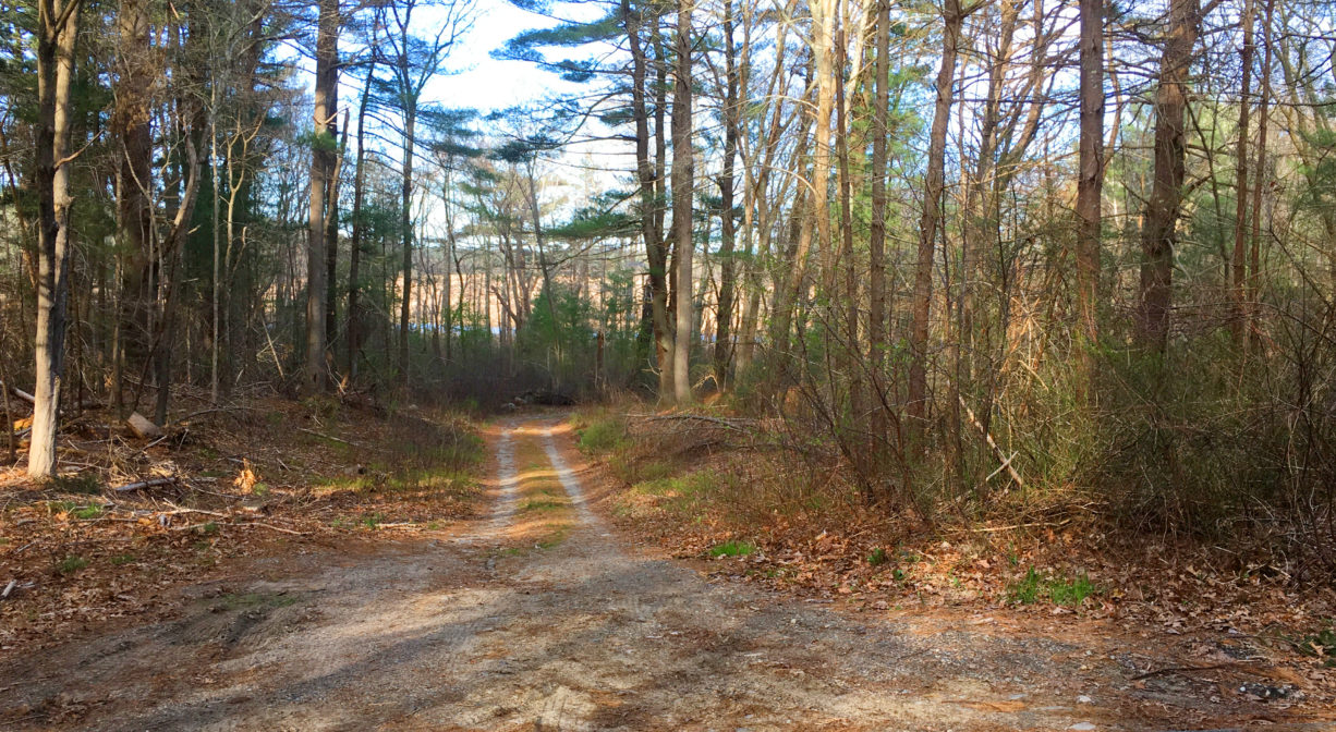 A photograph of an unpaved road and parking area.