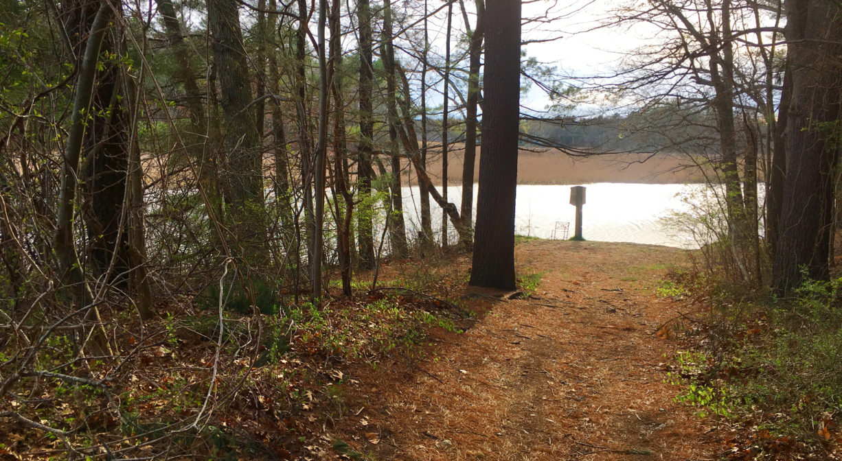 A photograph of a forest trail leading to a historic marker beside a river.