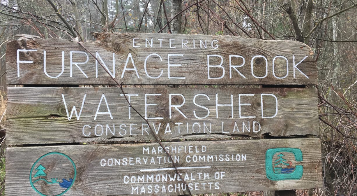 A photograph of a rustic property sign in a woodland.