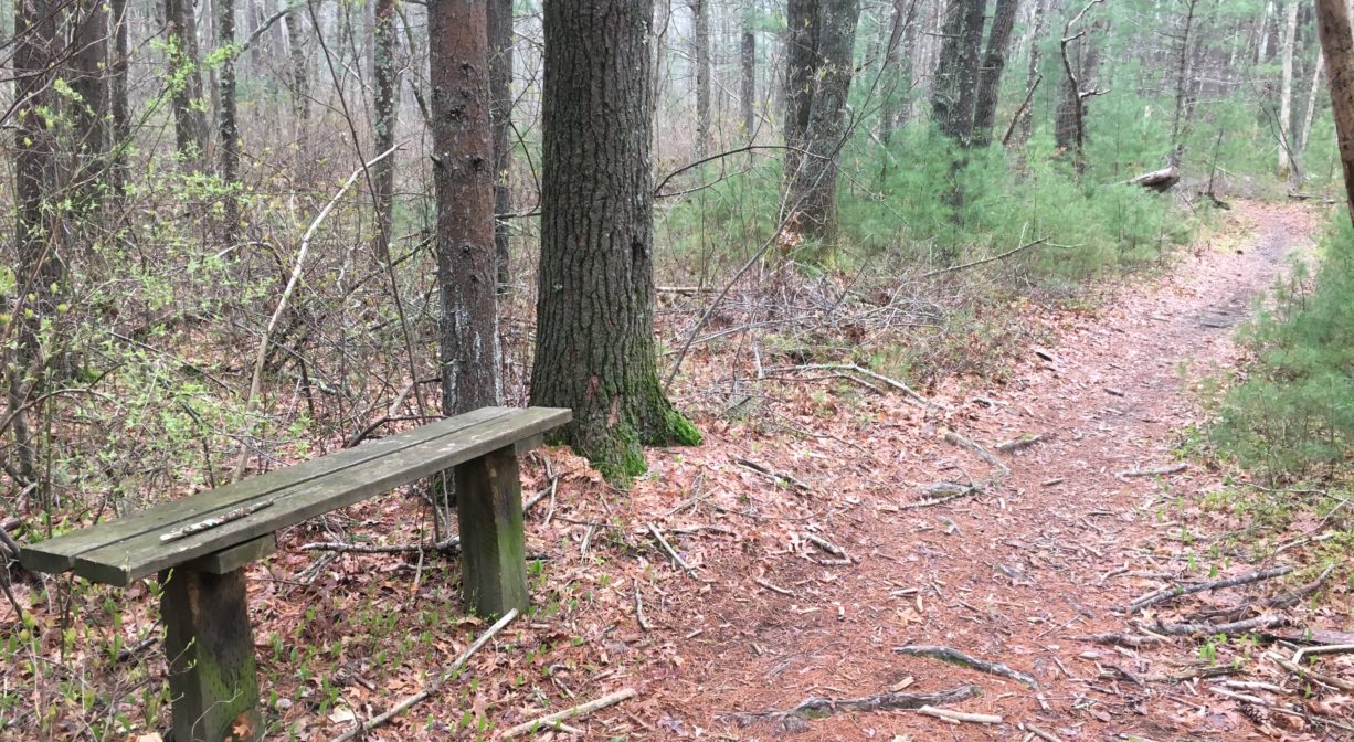 A photograph of a wooden bench beside a trail.