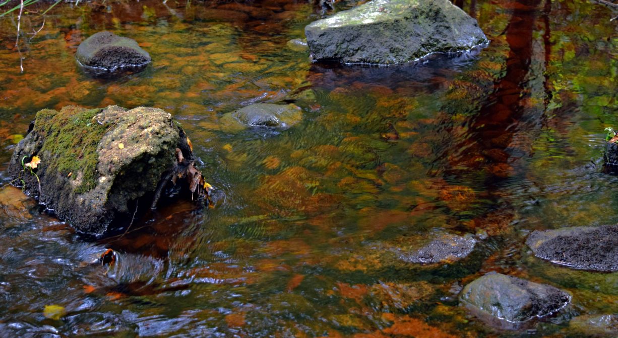 A photograph of some rocks in a stream with fall foliage.