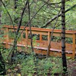 A photograph of a wooden bridge across a stream in the woods.