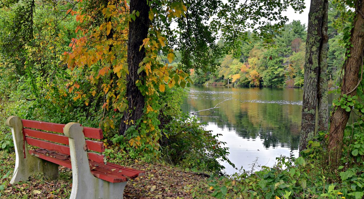 A photograph of a red wooden bench overlooking a river, with trees.