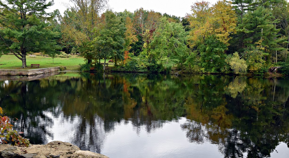 A photograph of a river with a green park in the background.