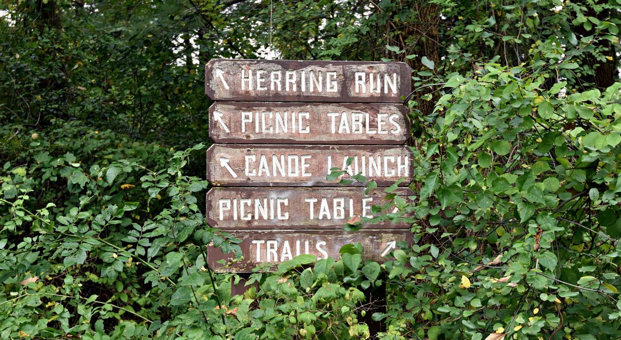 A photograph of a wooden sign and green foliage.