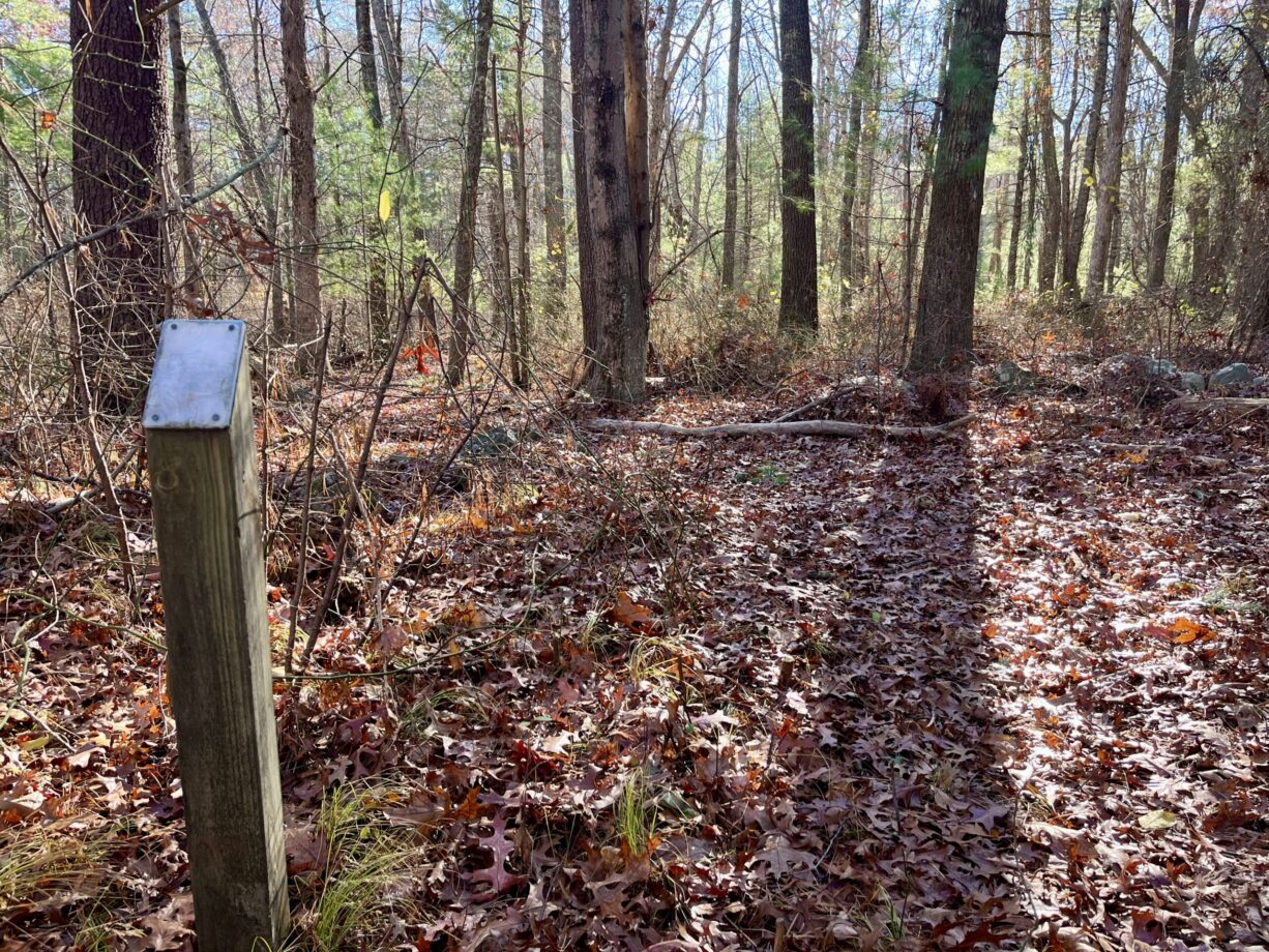 A photograph of a trail marker and a forest trail.