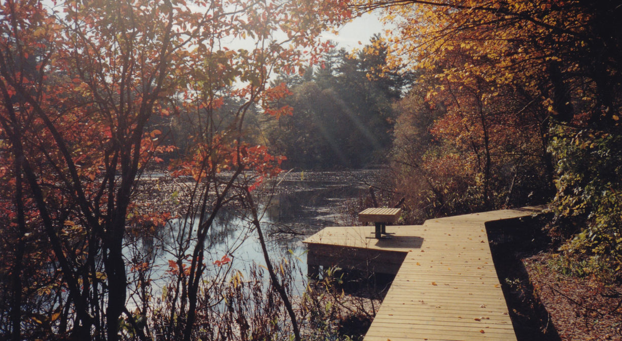 A photograph of a boardwalk across a pond with fall foliage.