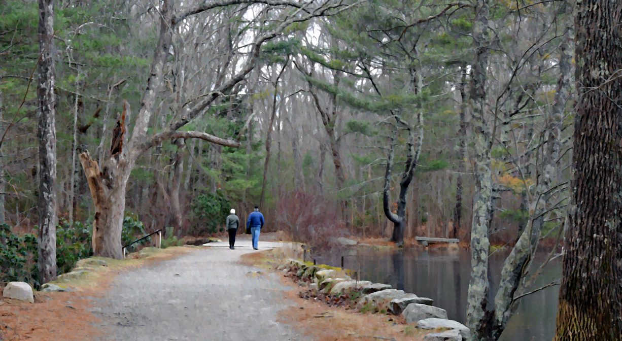 A photograph of two people walking along a woodland trail.