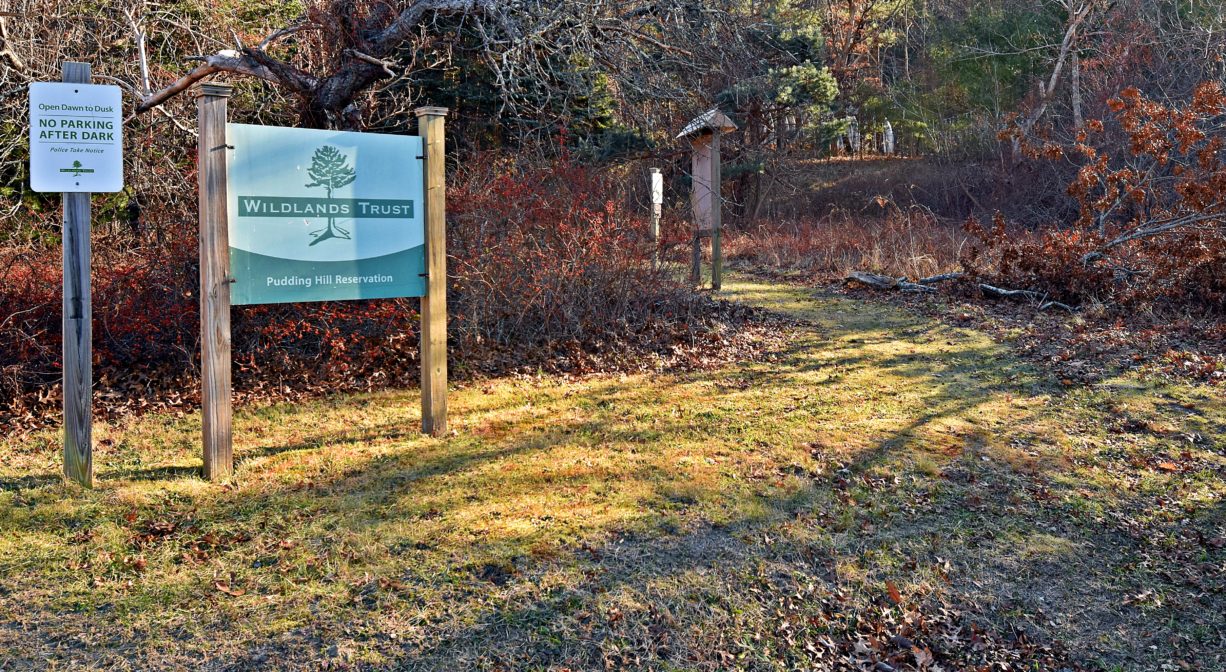 A photograph of a forest trailhead with two property signs