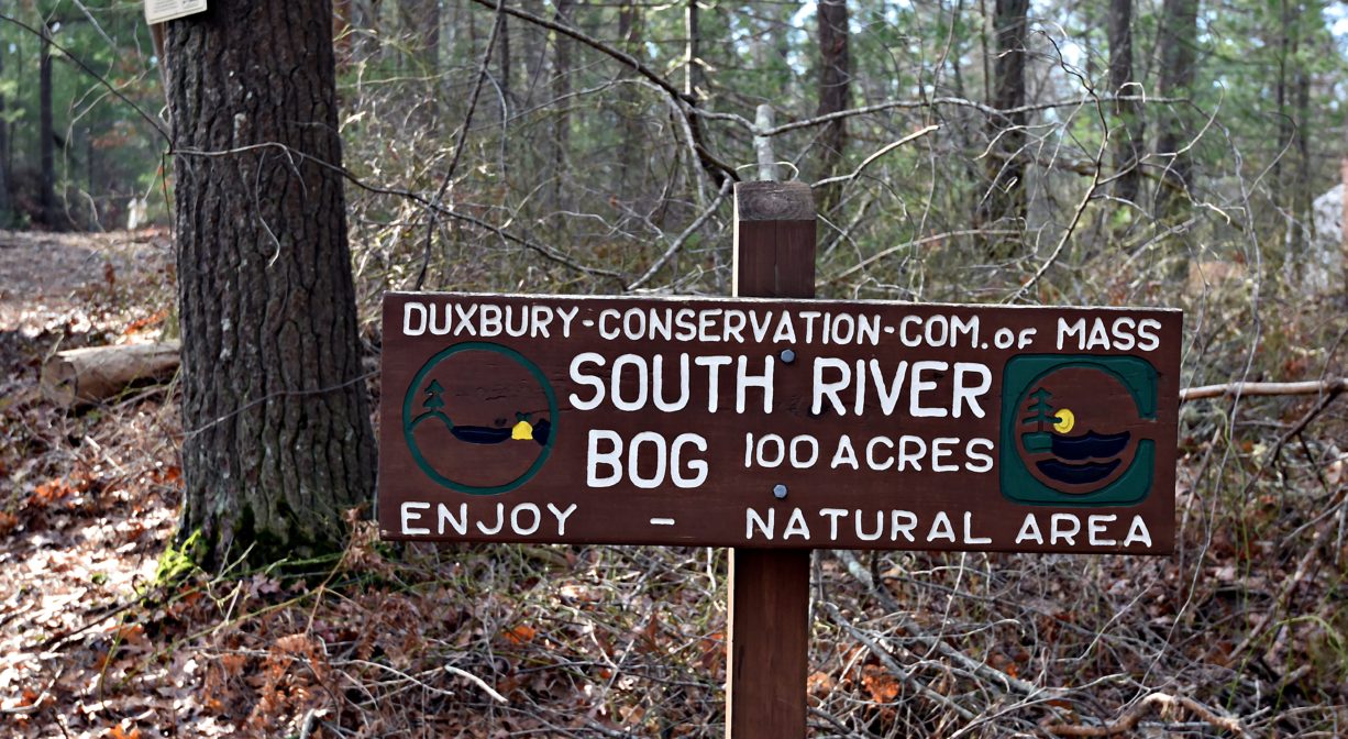 A photograph of a property sign beside a woodland