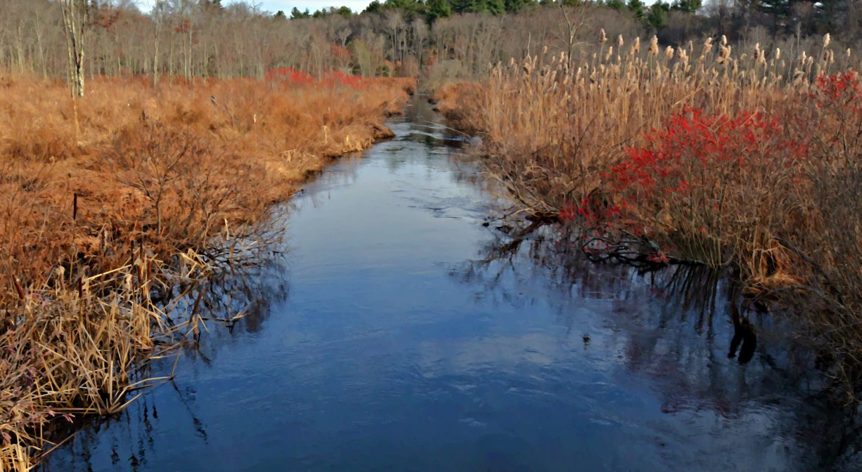 A photograph of a river through a wetland with fall colors.